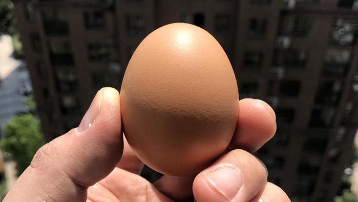 张文宏▲张文宏回应早餐“不能喝粥”，还详细解释了原因，网友：涨知识了