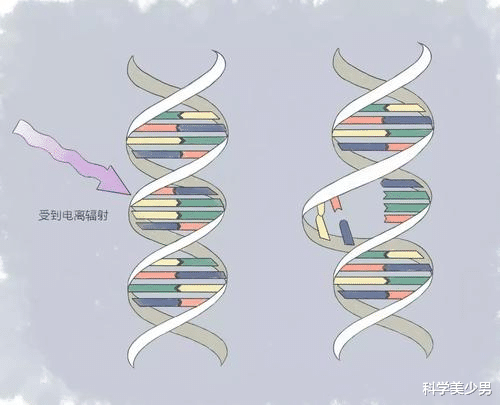 核磁共振对人体有害吗 为何医生让家属陪同 而自己却出去呢 科技资讯 娱乐新闻网
