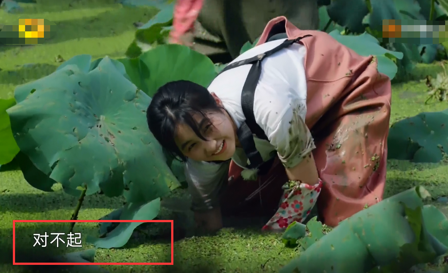 节目中大家正在池塘中挖藕,虽然年龄小但子枫妹妹干起活来可非常积极