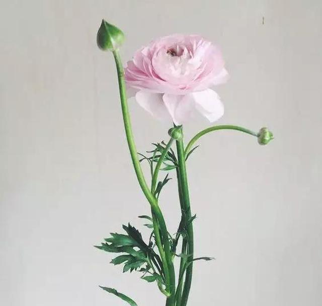 早游戏