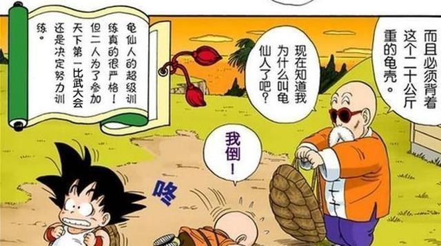 龙珠 龟仙人没有教悟空武术 为什么在武道会这么能打 动漫资讯 早游戏