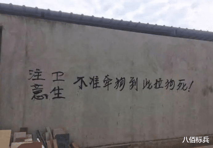 错别字能有多搞笑?哈哈哈哈真的是沙雕辈出啊!