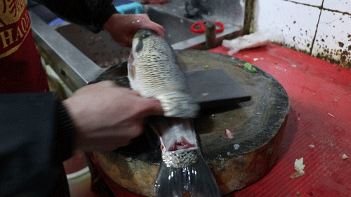 考拉海购