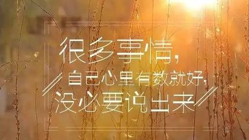 娱乐新闻