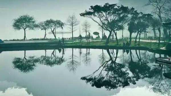 让人觉得是人间绝句的诗词