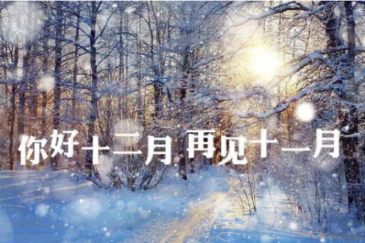 考拉海购