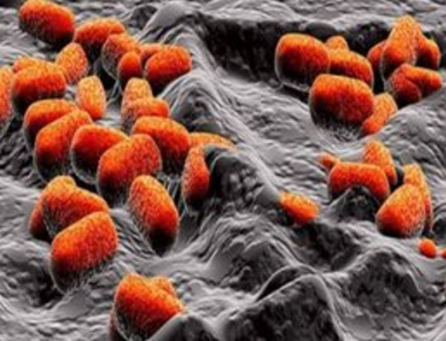 若地球没有发生大氧化 地球生命会怎样 或出现其他形态生物 科技资讯 娱乐新闻网