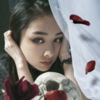 福神带你看影视