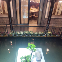 杨柳树