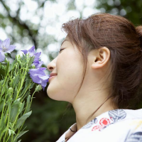 蝶儿花坊