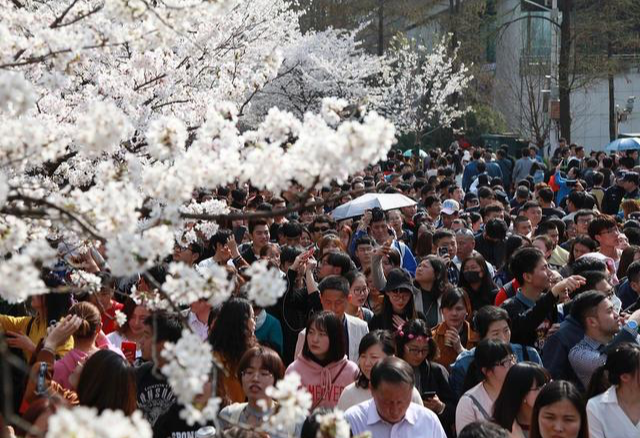 李煜词读 望江南 车如流水马如龙 花月正春风 旅游资讯 八戒游戏