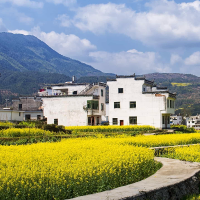 山里娃子进城来