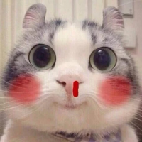 逗比在奔跑