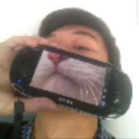 上野砍大杉