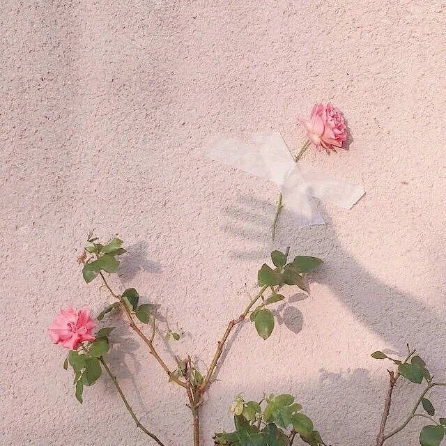 水不试，不知深浅；人不交，不知