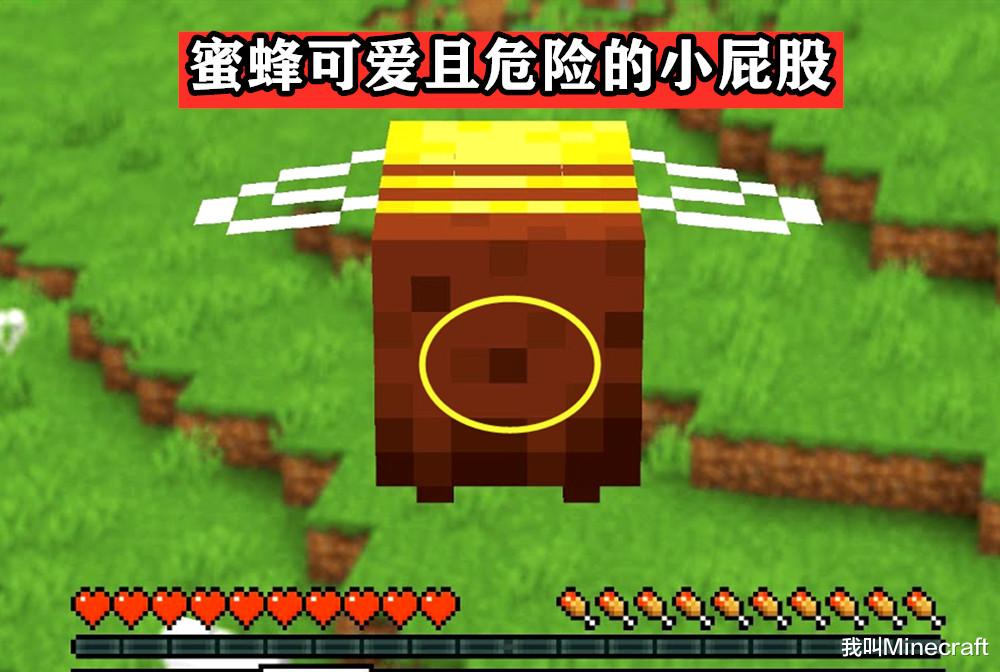 Minecraft蜜蜂养殖指南 关于蜜蜂 你可能不知道的13个冷知识 游戏资讯 八戒游戏