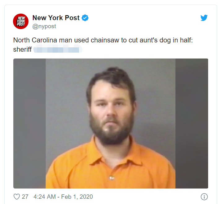 冷血男偷走女子心爱獒犬 电锯分尸切半 警察只找回残缺遗体 社会资讯 早游戏