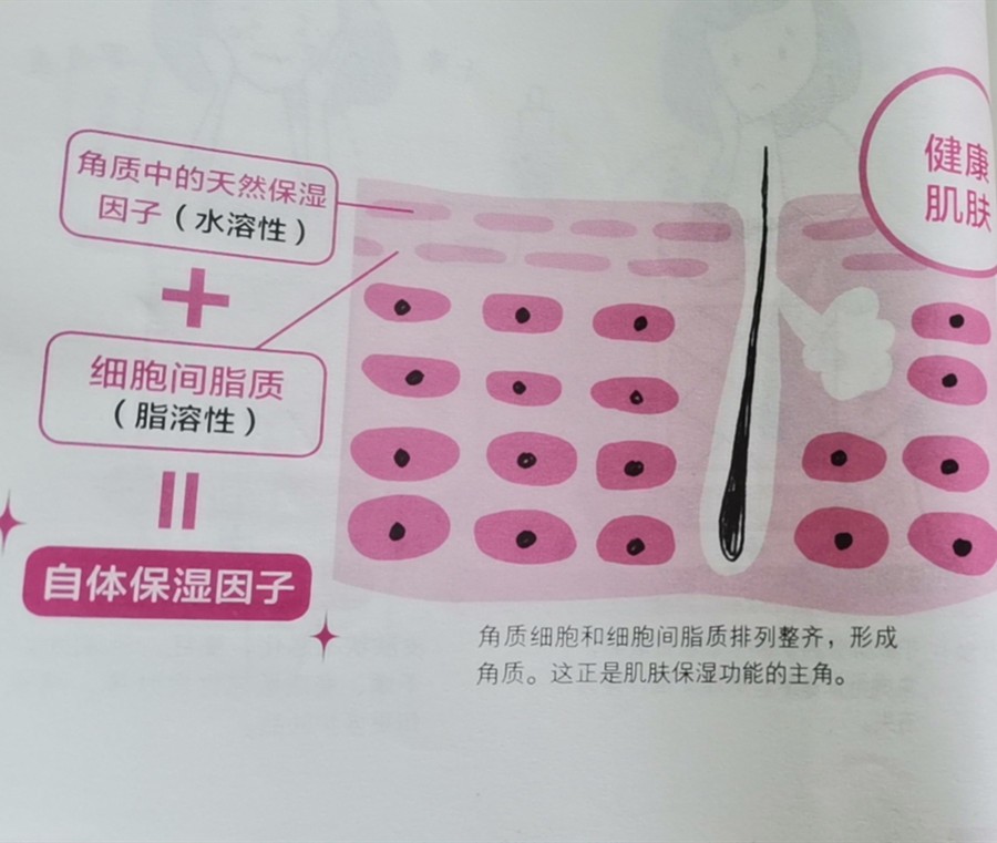 考拉海购
