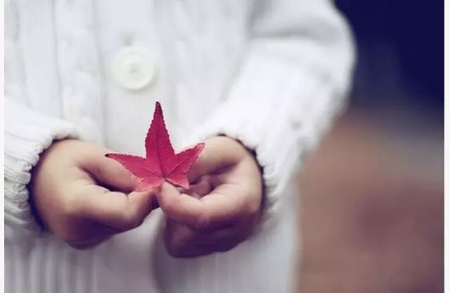树叶会黄，人心会凉，再好的关系
