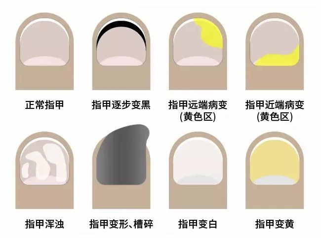 娱乐新闻