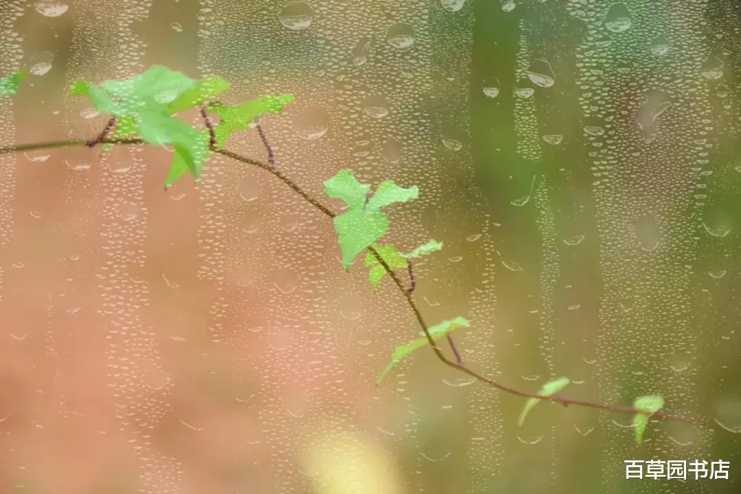 这花 这雨 这光阴 文化资讯 存满娱乐网
