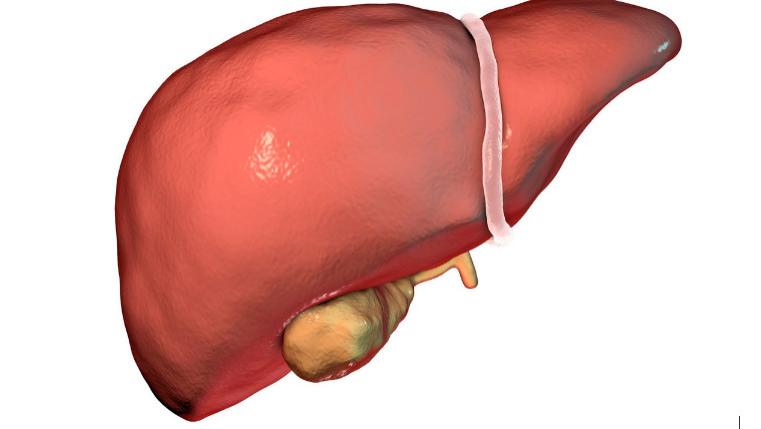 [脾胃]肝好的人，身体会有5个表现，多占一个，也值得恭喜，请继续保持