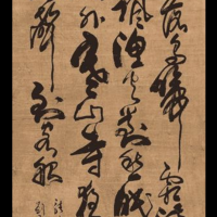 向阳花木