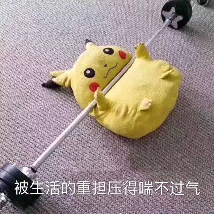 无水印表情包:可爱的黄皮耗子,快来领走呀