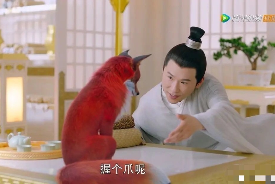 【司命喜欢凤九吗？】

最近，