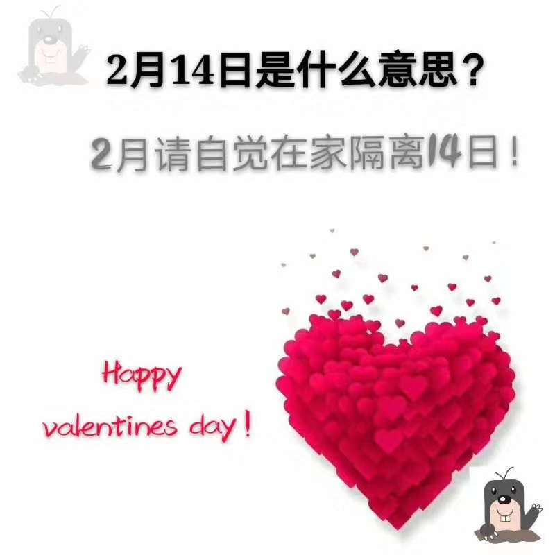 2月14日的正确理解意思...