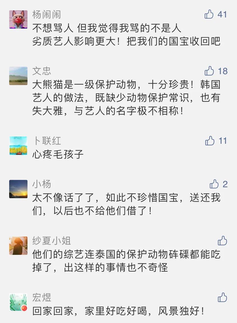 大熊猫到底能不能摸 中国野生动物保护协会发声 未分类资讯 八戒游戏