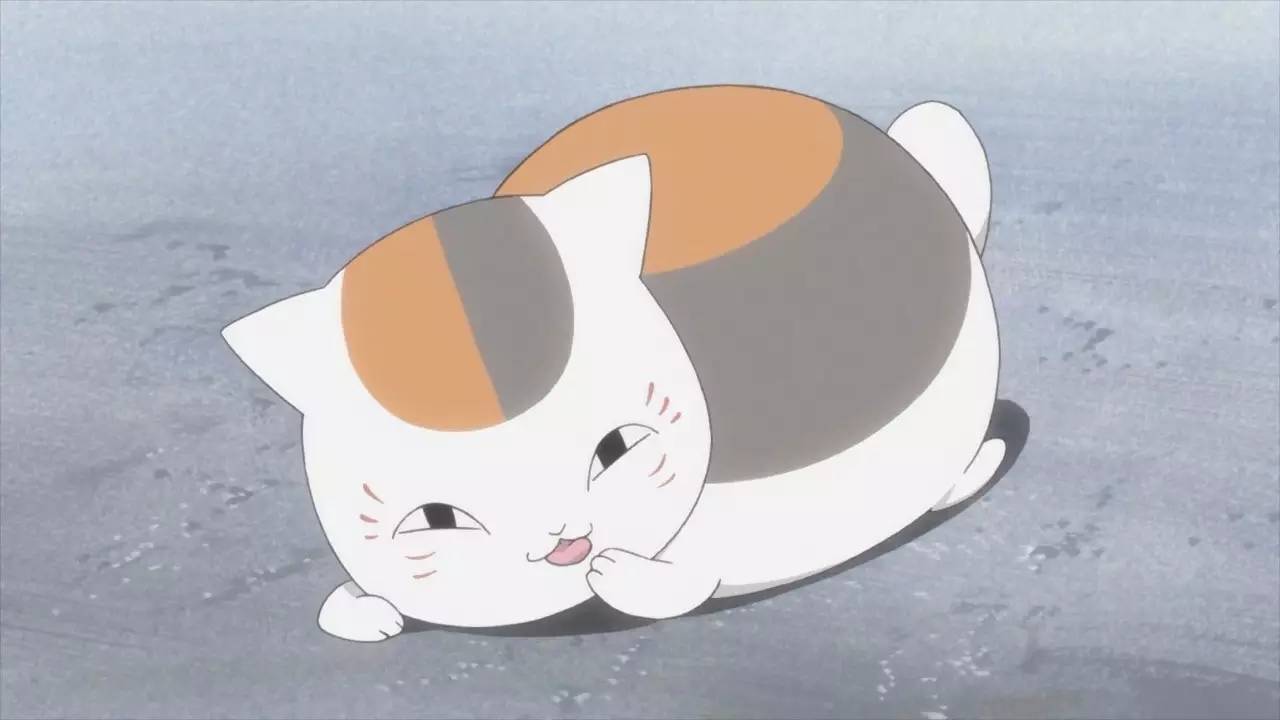 今天作为日本的 猫之日 就来聊聊那些动漫中的可爱猫娘吧 动漫资讯 八戒游戏