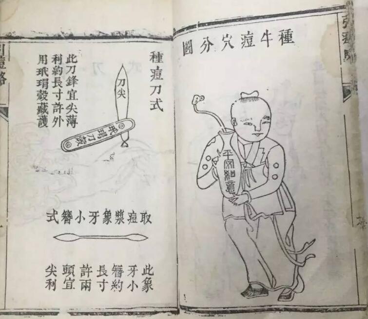 “中医”以毒攻毒的实践——免疫