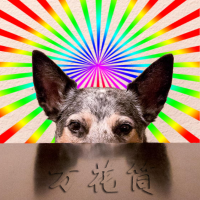 万花筒