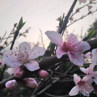 白天水