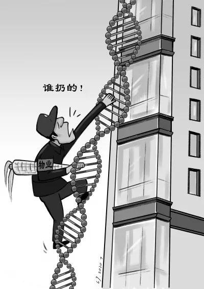 整栋楼住户做dna鉴定 高空抛玉米棒肇事者被吓到 自首 登门道歉 社会资讯 娱乐新闻网