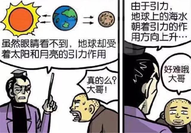 考拉海购