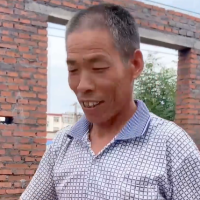 群叔砖属