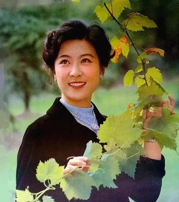 娱乐新闻网