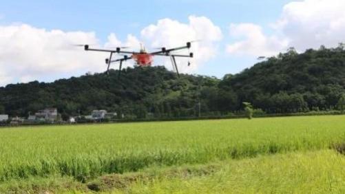 新增病例连续下降，武汉爆发期已过？