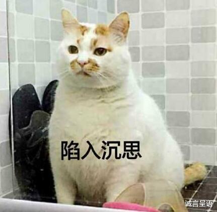 娱乐新闻