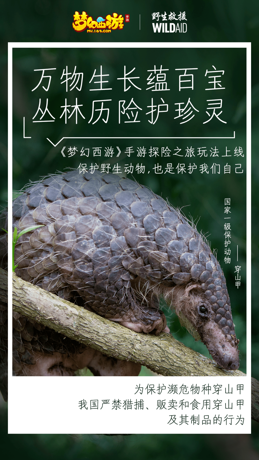 早游戏