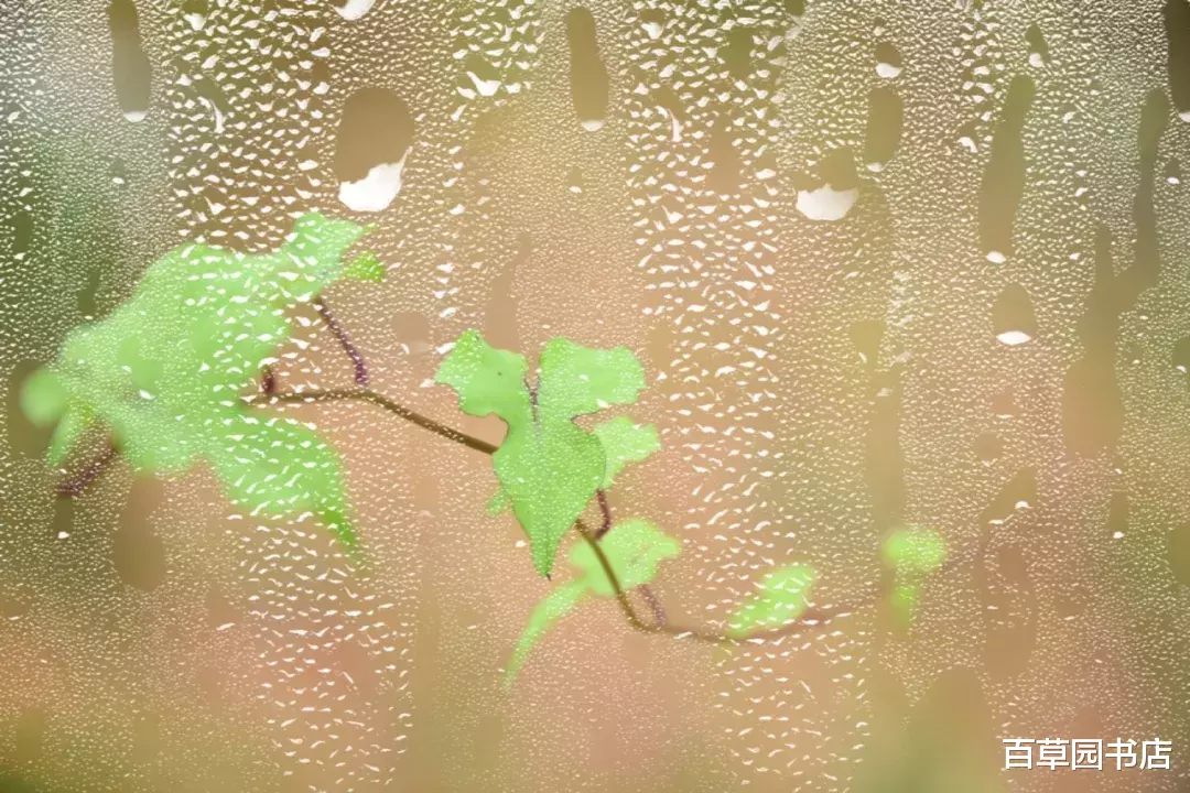 这花 这雨 这光阴 文化资讯 存满娱乐网