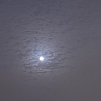 雨夜带刀人