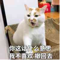 还看今朝