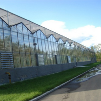 玻璃大棚