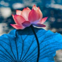 一半是冰一半是火焰