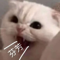 星星的轨迹