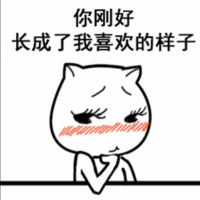 开心的小五子