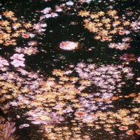 站在云端看世界